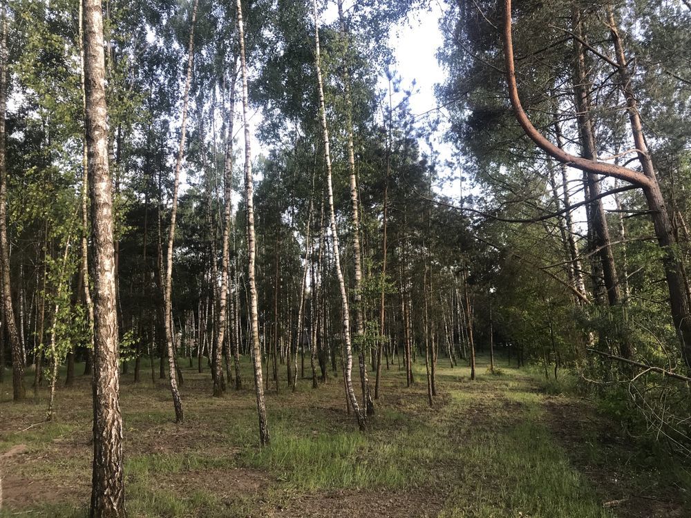 Działka budowlana Korczew. Zdjęcie 4