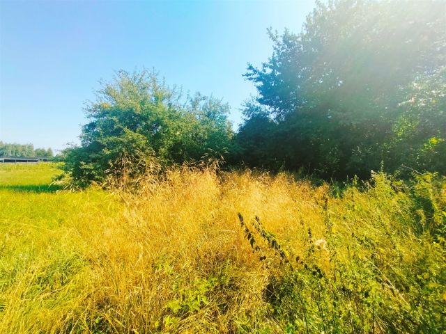 Działka budowlana Sieradowice-Parcele. Zdjęcie 7