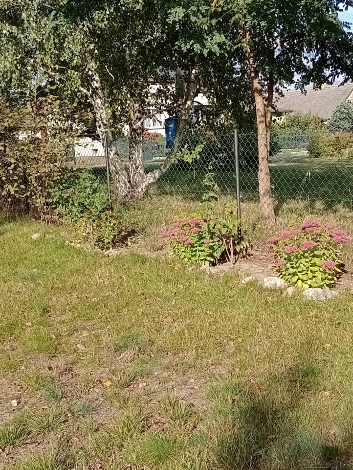 Działka rolno-budowlana Malenia. Zdjęcie 8