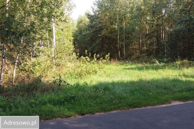 Działka rolno-budowlana Pałki. Zdjęcie 1