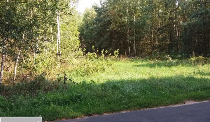 Działka rolno-budowlana Pałki