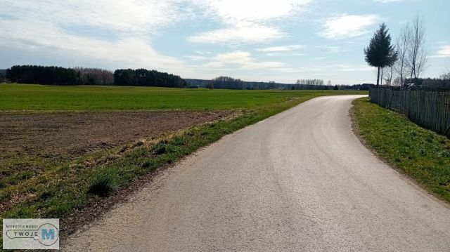 Działka leśna Korczyn. Zdjęcie 5