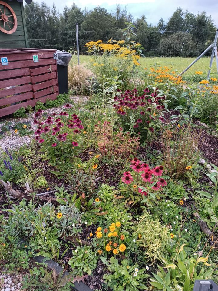 Działka budowlana Leleszki. Zdjęcie 13