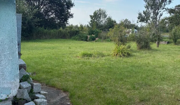 Działka rod Braniewo, ul. Królewiecka