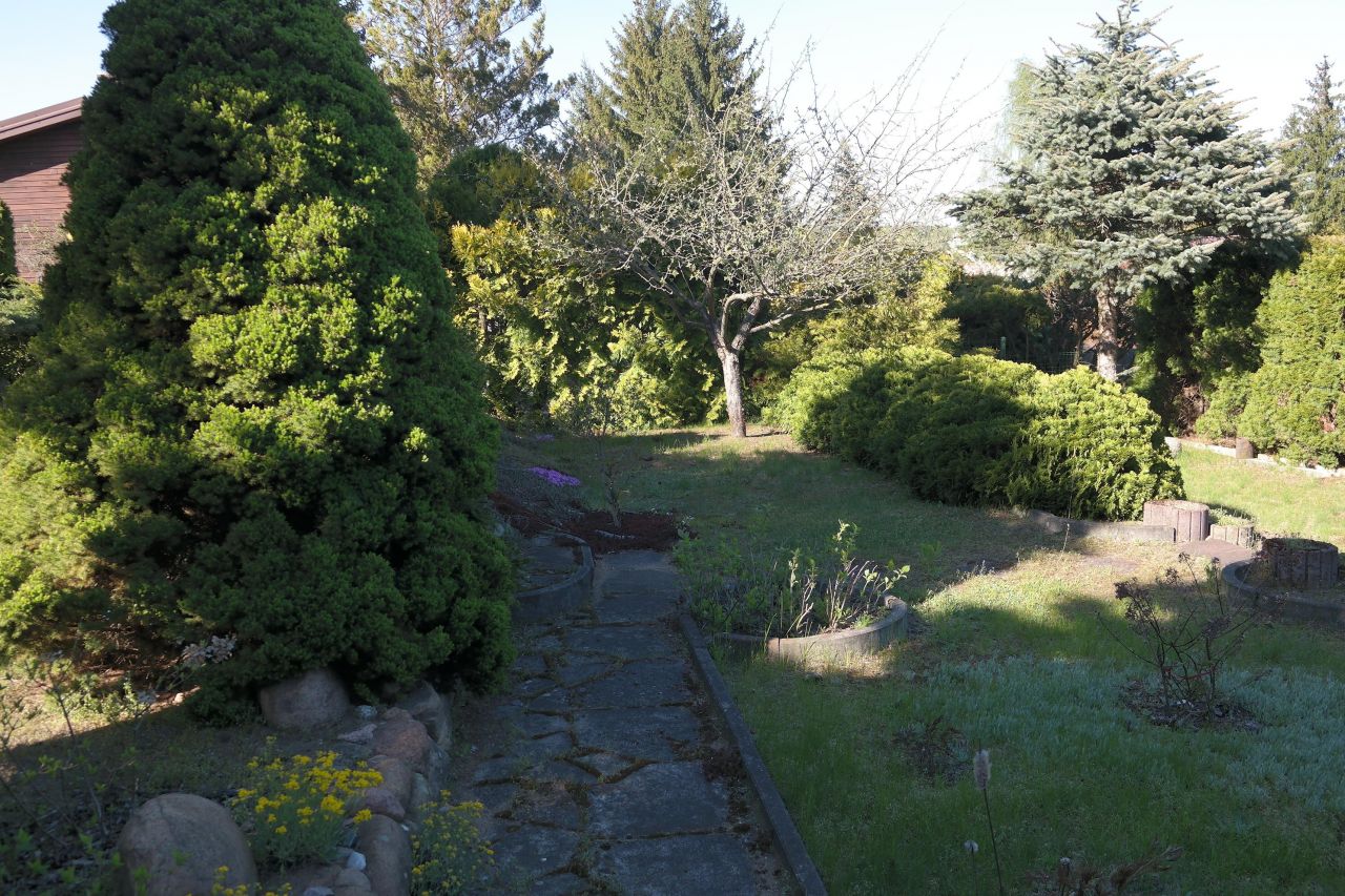 Działka rod Niewodnica Kościelna, ul. Działkowców. Zdjęcie 7