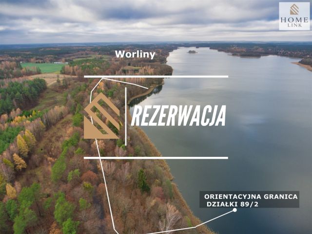 Działka leśna Worliny. Zdjęcie 1