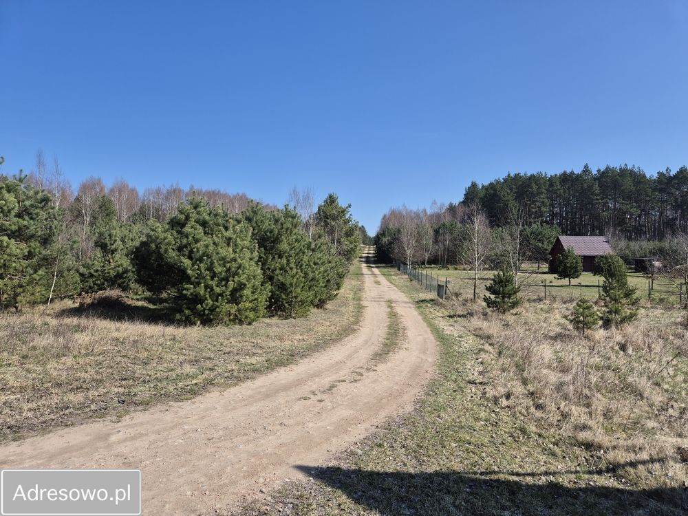 Działka rekreacyjna Chłopowo. Zdjęcie 7