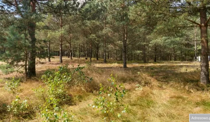 Działka budowlana Nierostowo