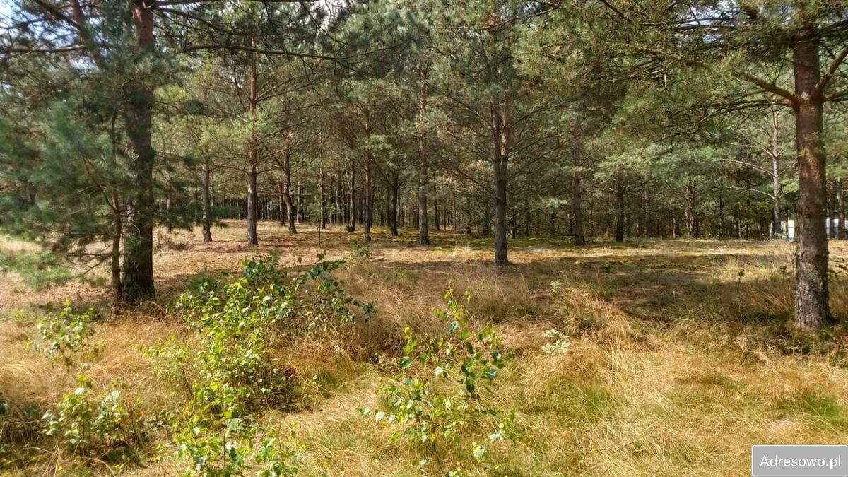 Działka budowlana Nierostowo. Zdjęcie 1