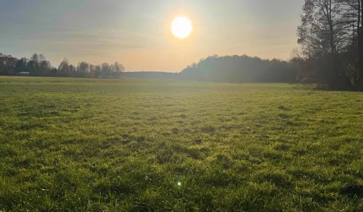 Działka budowlana Chojeczno-Cesarze