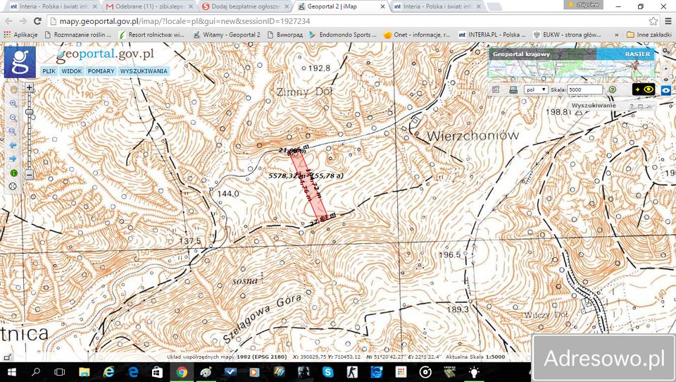 Działka leśna Bochotnica. Zdjęcie 3