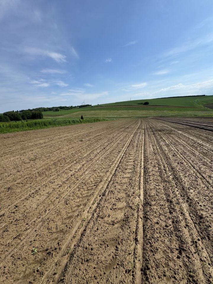 Działka rolna Żurawica Bażantarnia. Zdjęcie 7