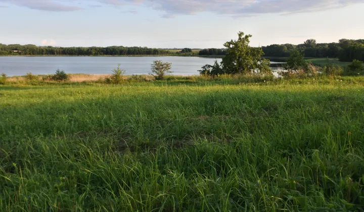 Działka rolna Węgielsztyn