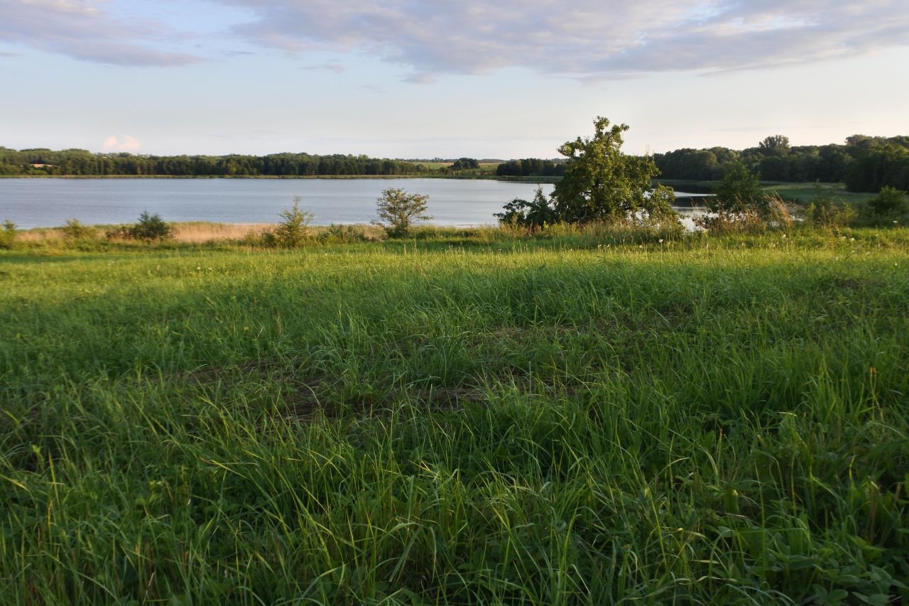 Działka rolna Węgielsztyn