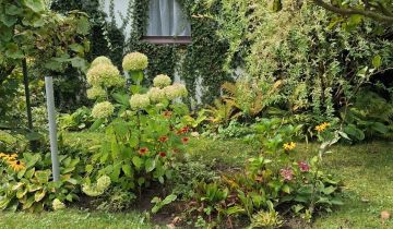 Działka rod Lubin Przylesie