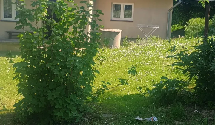 dom wolnostojący, 2 pokoje Łopuszka Mała Górka
