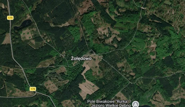 bliźniak Żołędowo