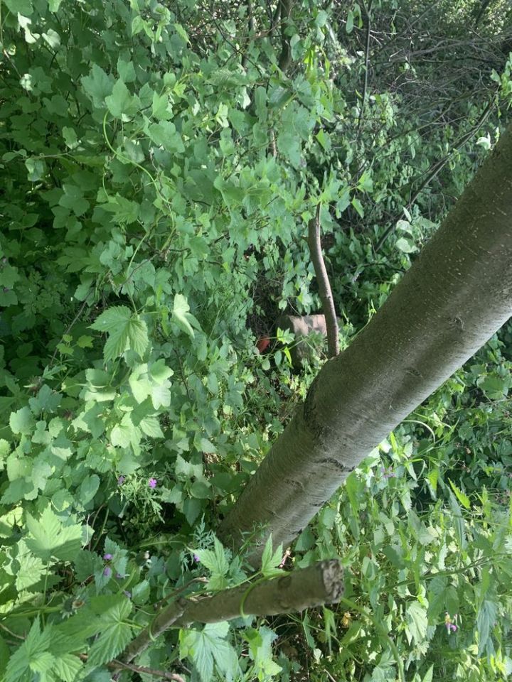 Działka budowlana Falęcice. Zdjęcie 8