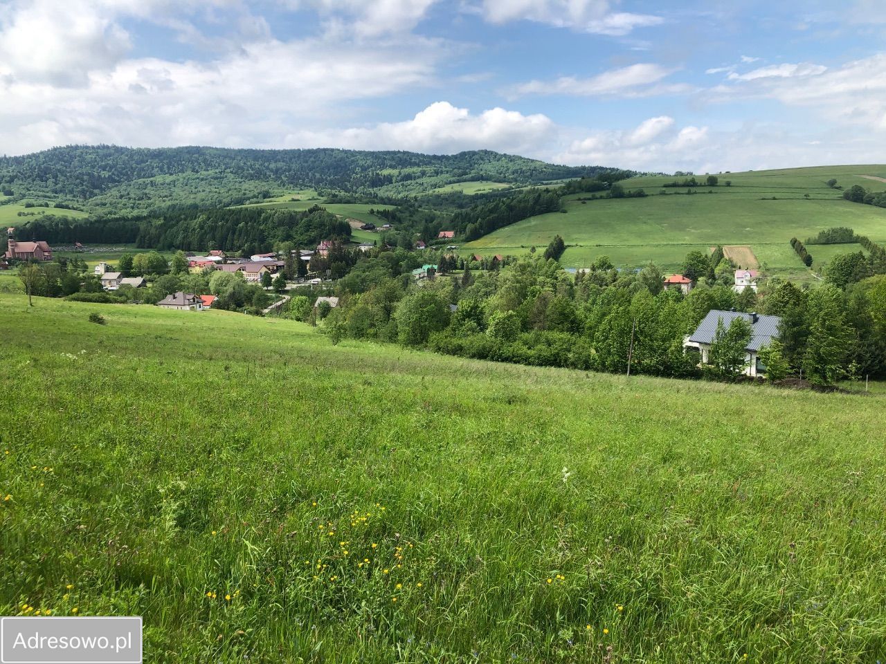 Działka rolna Baligród Podgłębokie, ul. Podgłębokie. Zdjęcie 3