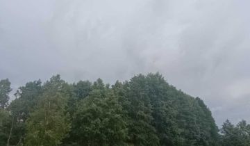 Działka leśna Niemianowice