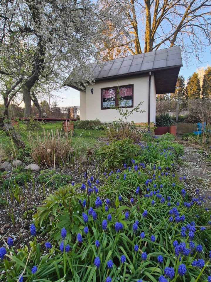 Działka rod Tarnowskie Góry. Zdjęcie 5