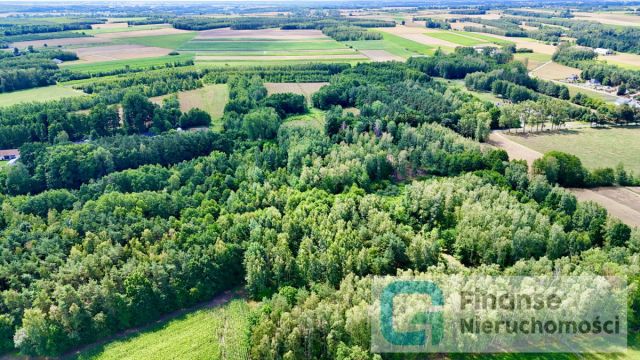 Działka budowlana Strobów. Zdjęcie 11