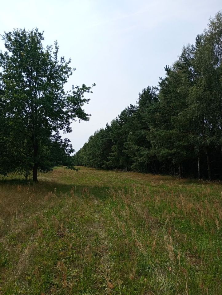 Działka budowlana Remiszew. Zdjęcie 3