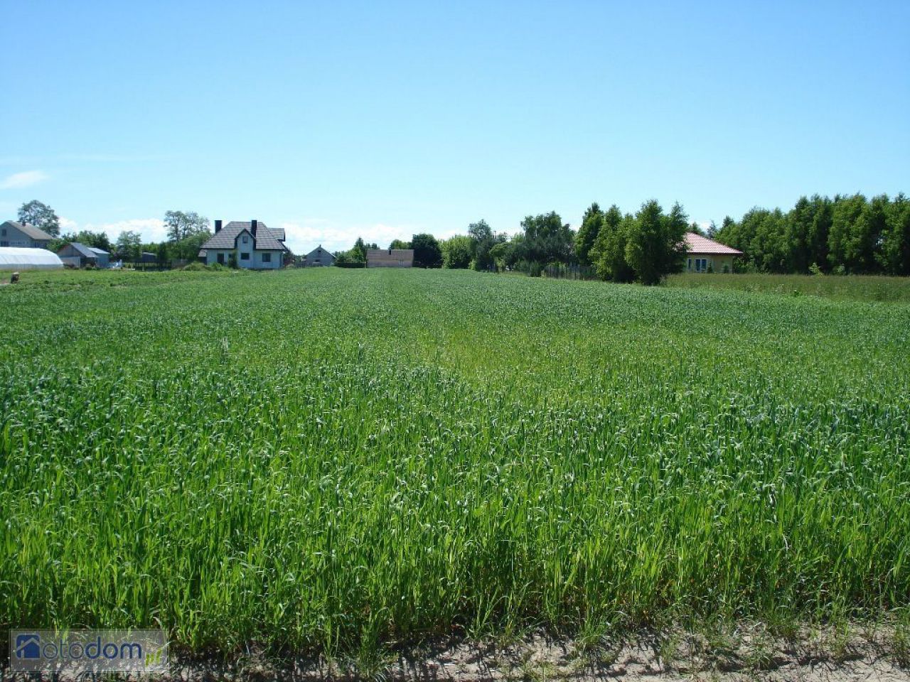 Działka budowlana Omięciny. Zdjęcie 6