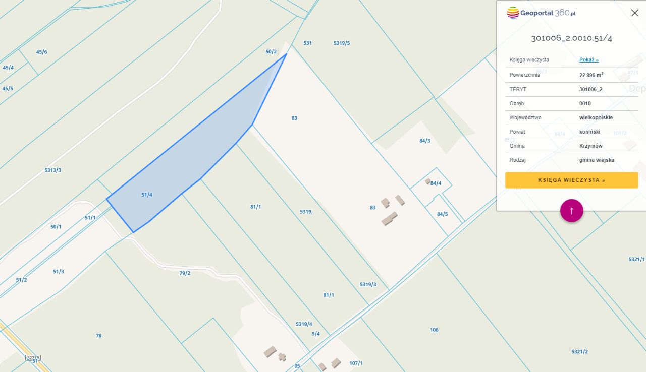 Działka leśna Depaula. Zdjęcie 2