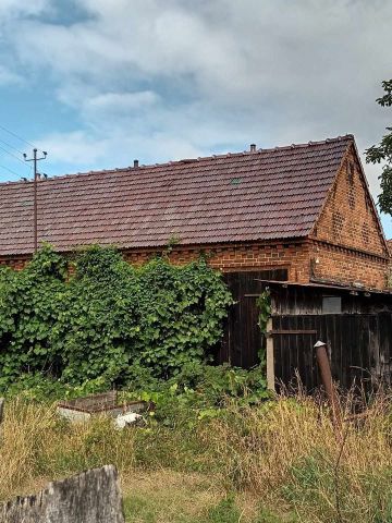 Działka budowlana Dębno Polskie. Zdjęcie 1