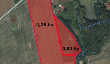 Działka na sprzedaż Winnica 