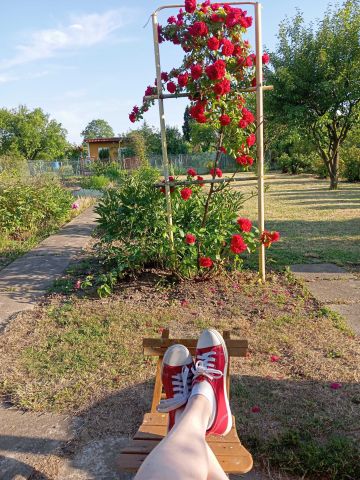 Działka rod Mielec Nowy Mielec, ul. Parkowa. Zdjęcie 1