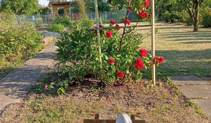 Działka rod Mielec Nowy Mielec, ul. Parkowa