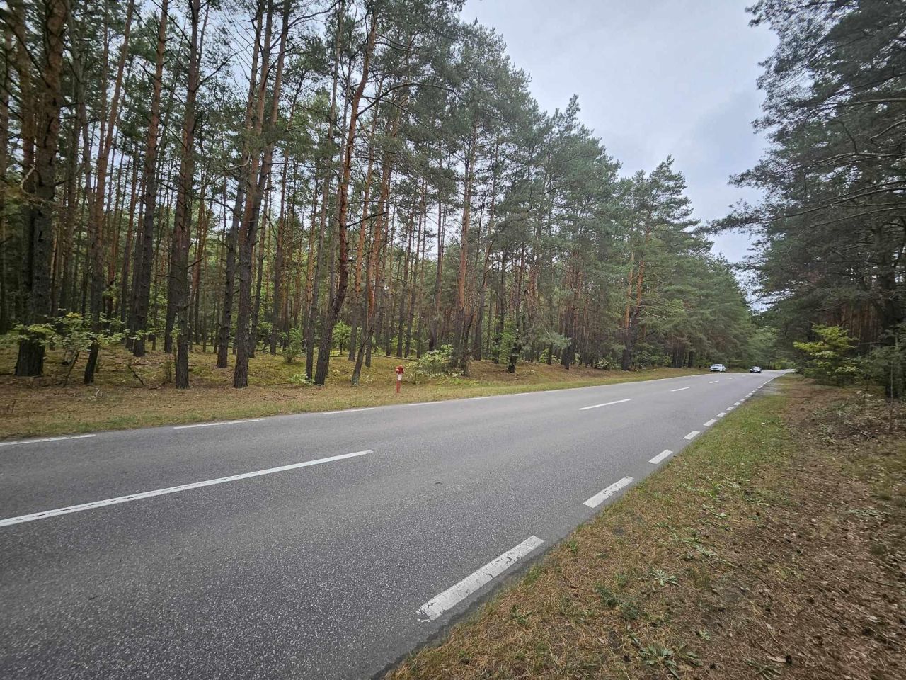 Działka leśna Radzymin Rejentówka, ul. Zygmunta Wróblewskiego. Zdjęcie 2