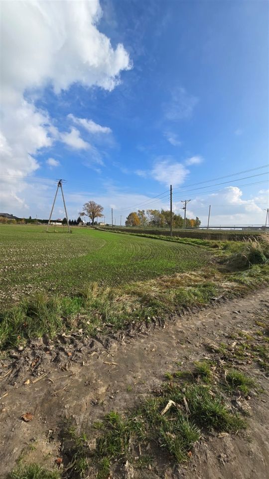 Działka inwestycyjna Ćwiklice. Zdjęcie 4
