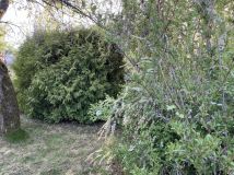 Działka rod Białystok Jaroszówka, ul. Adama Mickiewicza. Zdjęcie 1