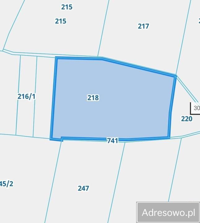 Działka rolna Dalewice