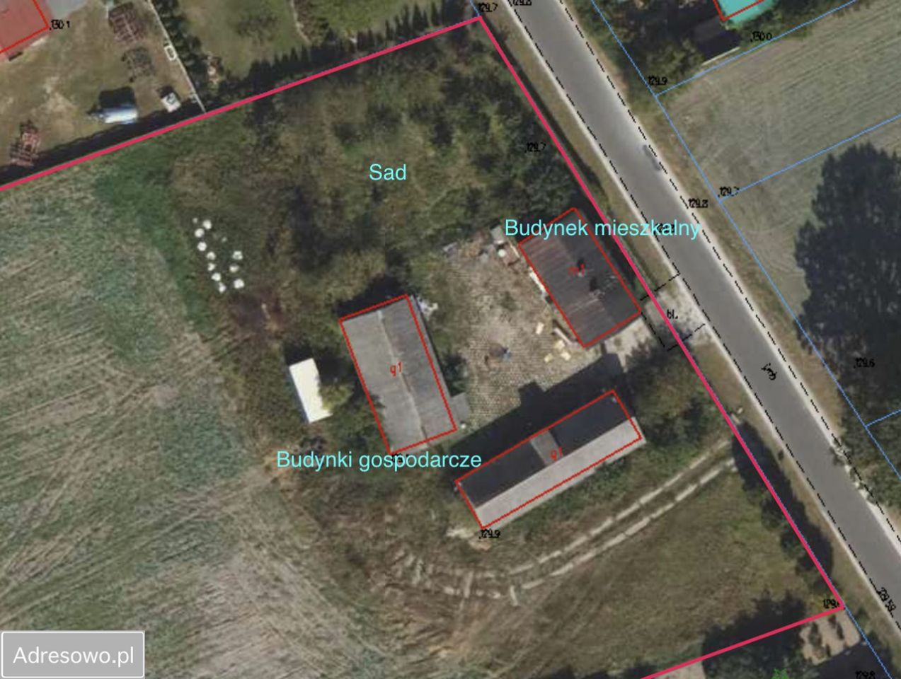 siedlisko Zalesie. Zdjęcie 4