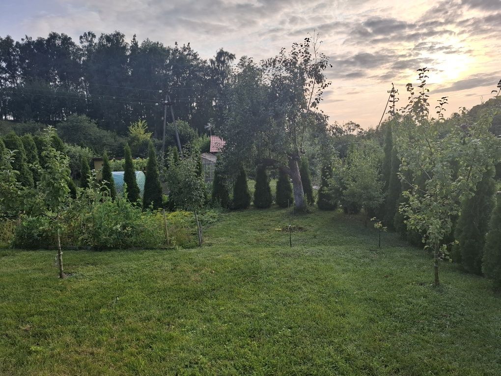 Działka rod Mrągowo. Zdjęcie 5