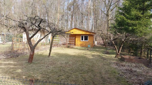 Działka rod Jelonek. Zdjęcie 1