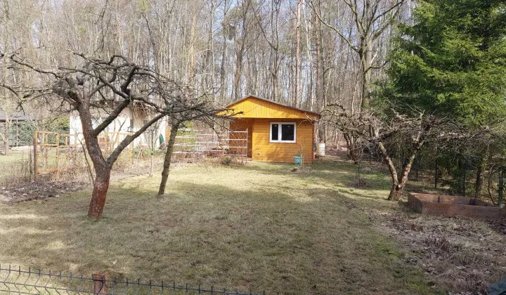 Działka rod Jelonek