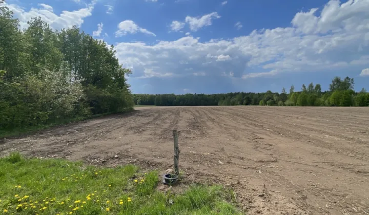 Działka rolna Kamienna Nowa