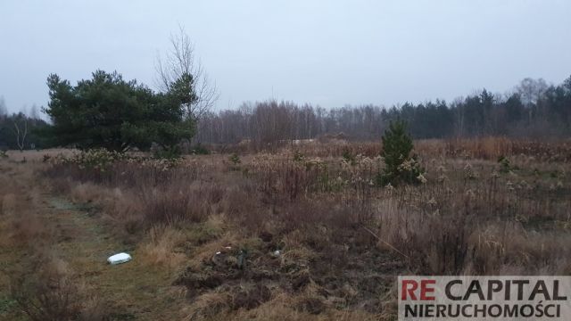 Działka siedliskowa Borzęcin Duży. Zdjęcie 6