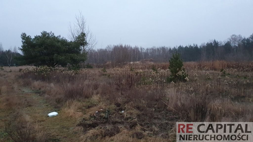 Działka siedliskowa Borzęcin Duży. Zdjęcie 6