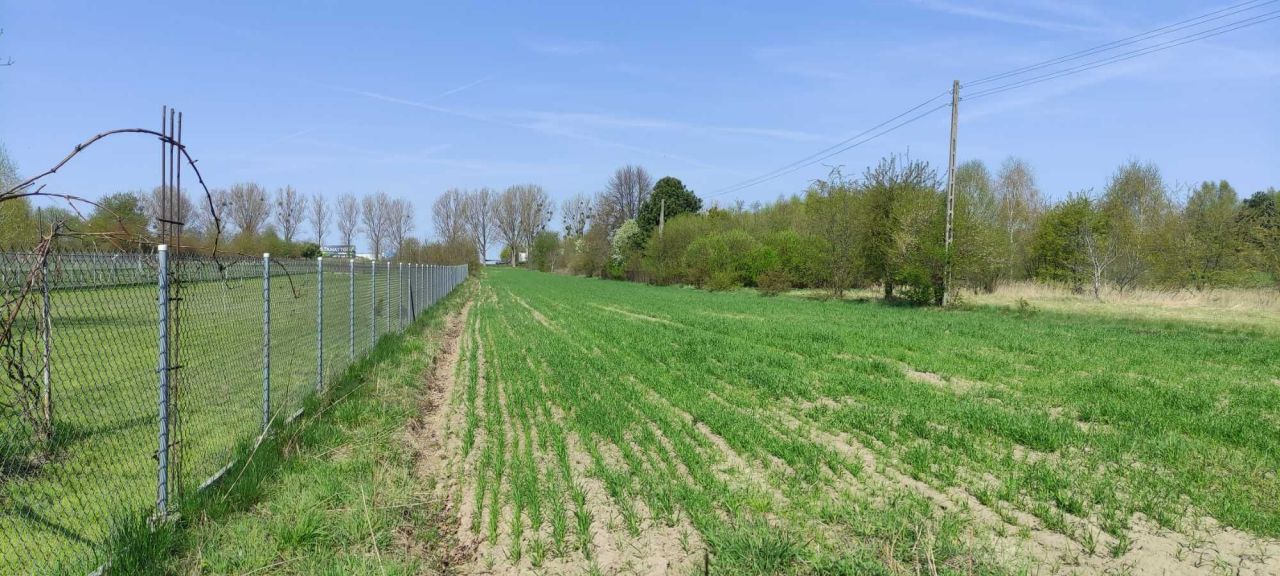 Działka budowlana Dąbrówka Wielka. Zdjęcie 5