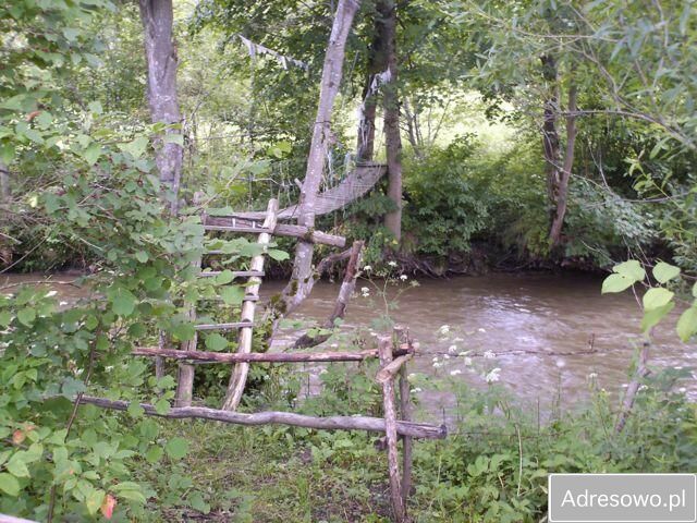 Działka leśna Polana. Zdjęcie 15