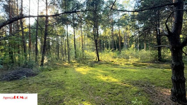 Działka budowlana Marynin. Zdjęcie 1