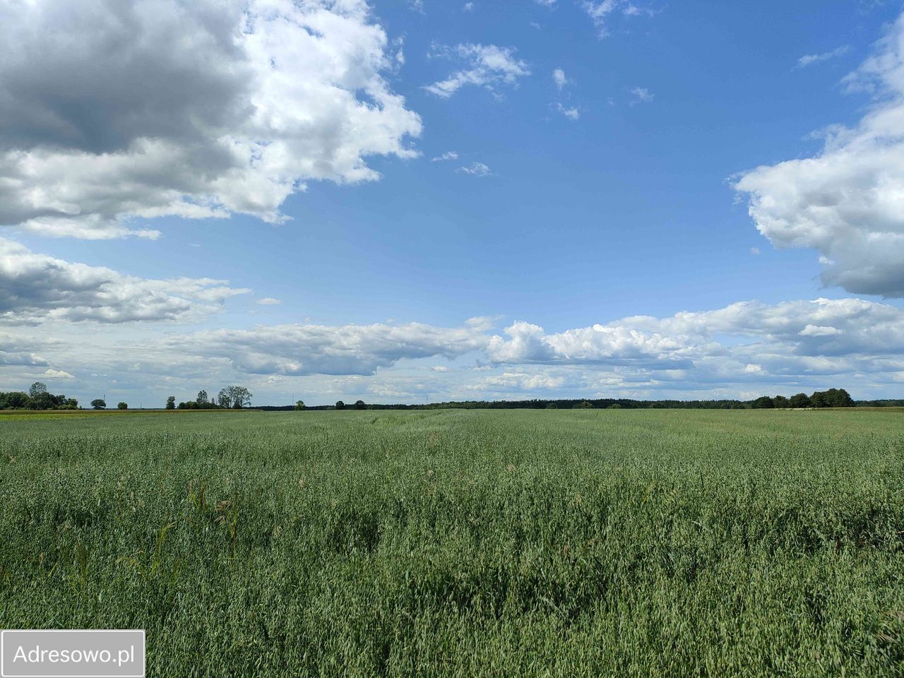 Działka rolno-budowlana Kujawy