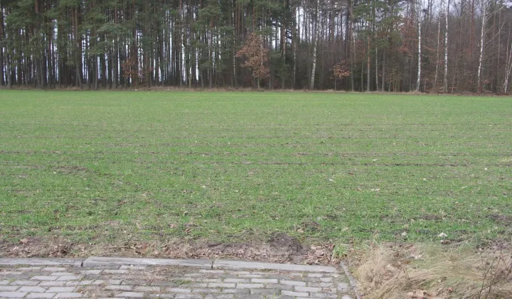 Działka siedliskowa Wda