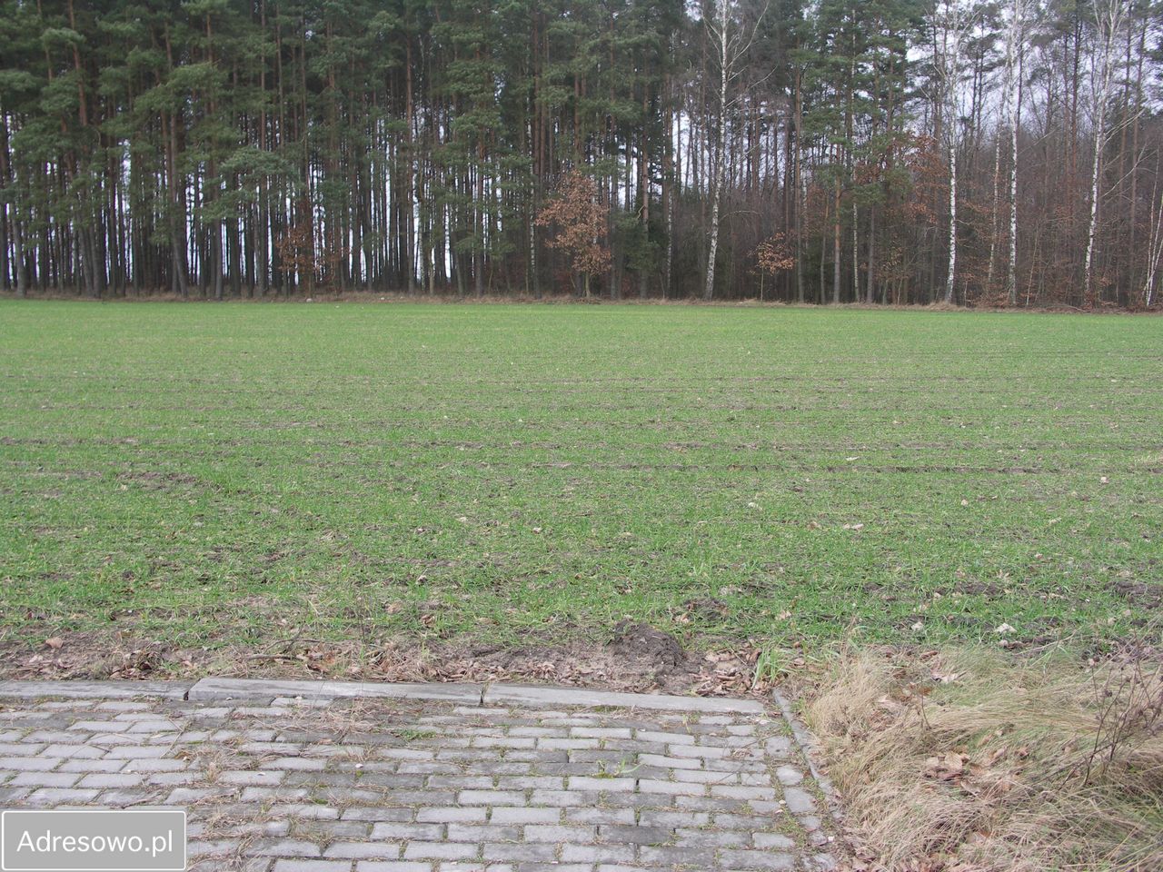 Działka siedliskowa Wda